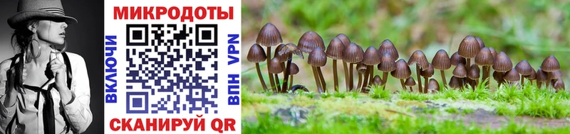 Галлюциногенные грибы Magic Shrooms  Зарайск 